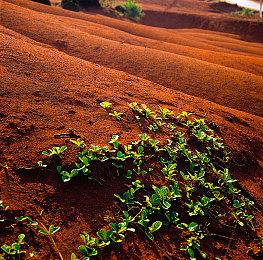 《三角洲行动》严打修改ini文件获视觉优势：违规行为